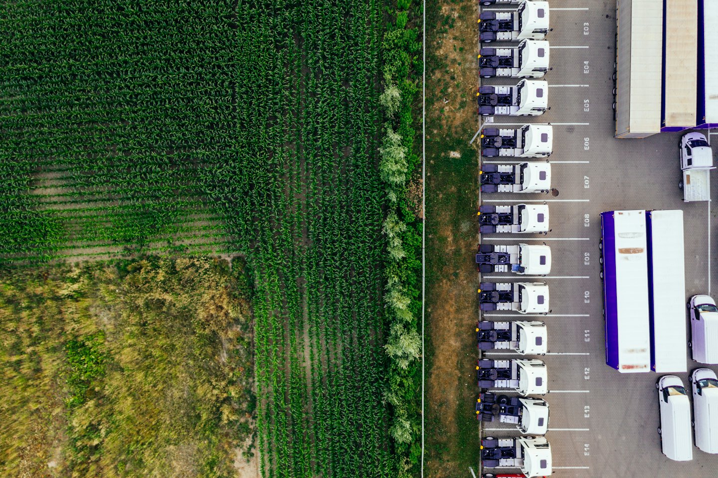 Białe ciężarówki stoją na nowoczesnym centrum logistycznym obok przyczep.